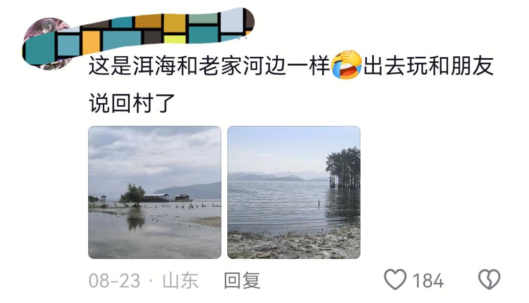 天敌威力有多恐怖 一只老鹰夜闯鸡棚 1400多只鸡被当场吓死